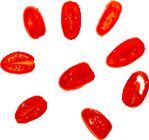 pizza99 Pomodorini (datterini)